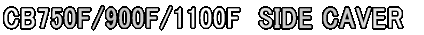 SS250/SS350�@SIDE CAVER